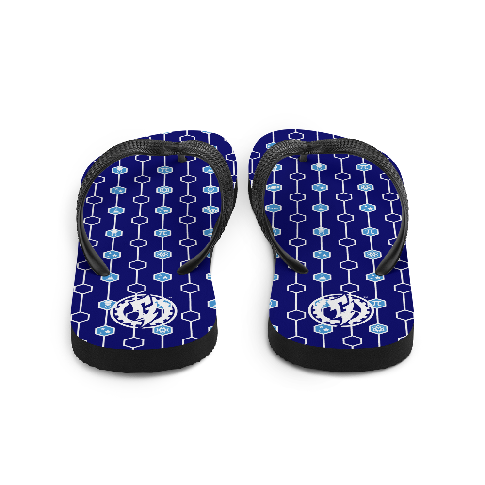 STEM - MK2 - FLIP-FLOPS - BLURPLE